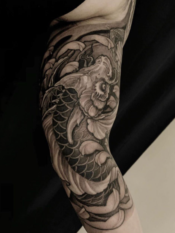 Ikan Koi